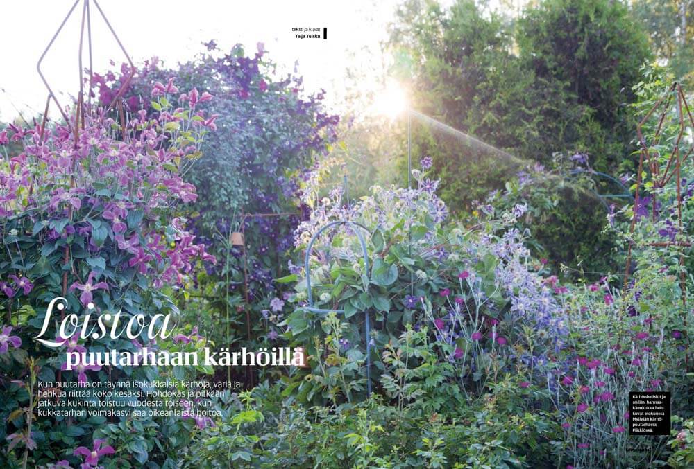 Artikkeli 1